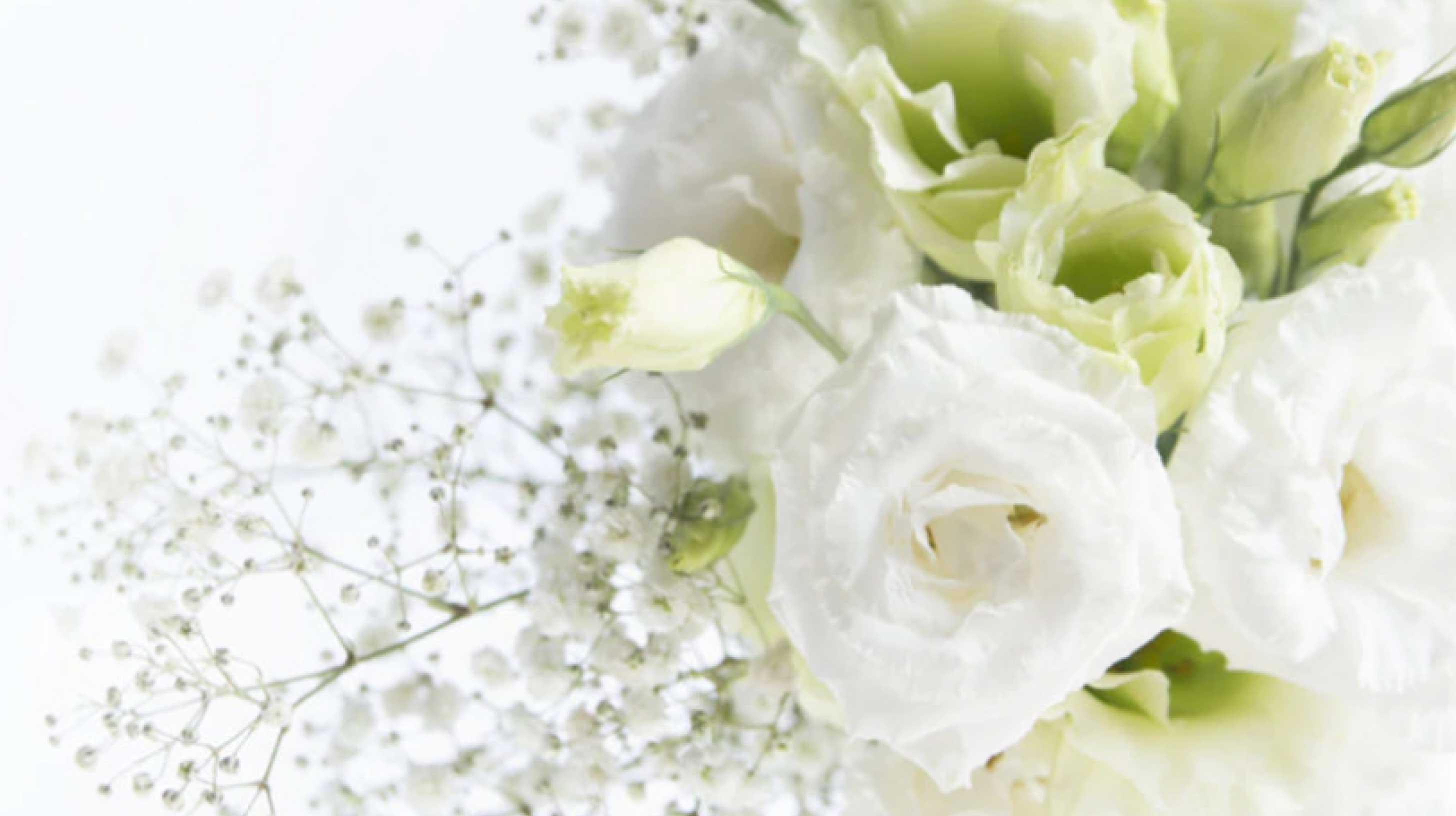 散骨の慈想堂 プラン一覧