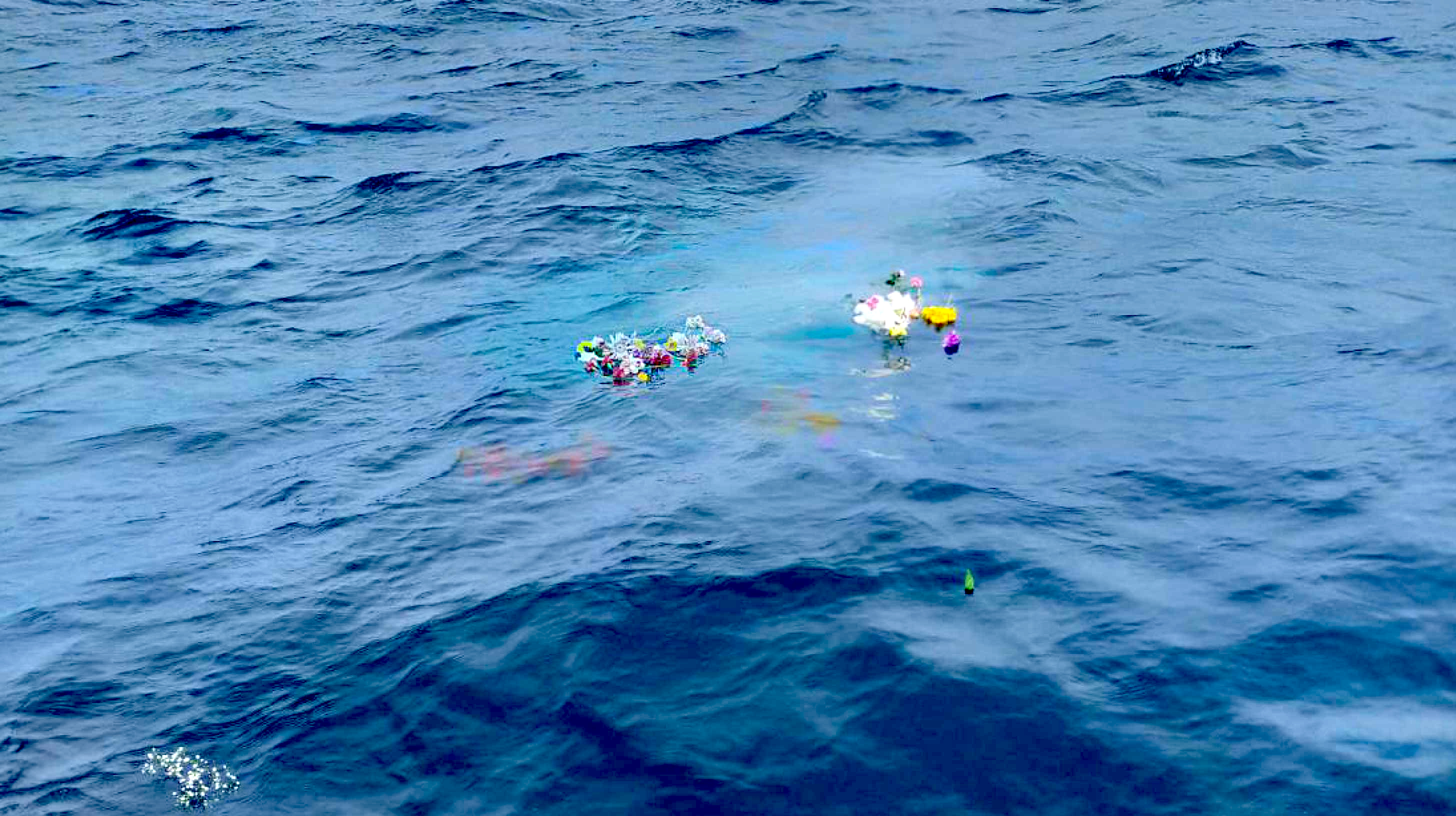 散骨の慈想堂 散骨とは